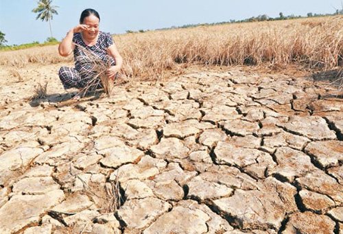 THẢM HỌA MEKONG TỪ 1 BÁO CÁO NGUY HIỂM CHO ĐẤT NƯỚC THẢM HỌA MEKONG TỪ 1 BÁO CÁO NGUY HIỂM CHO ĐẤT NƯỚC