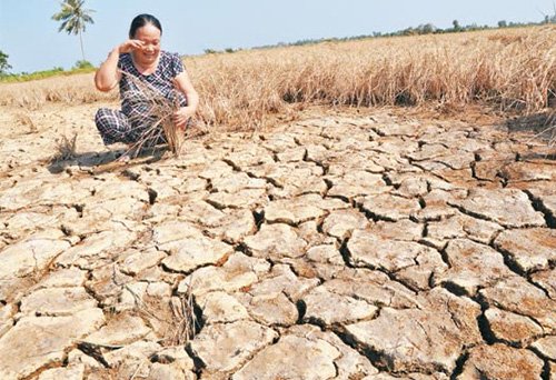 THẢM HỌA MEKONG TỪ 1 BÁO CÁO NGUY HIỂM CHO ĐẤT NƯỚC