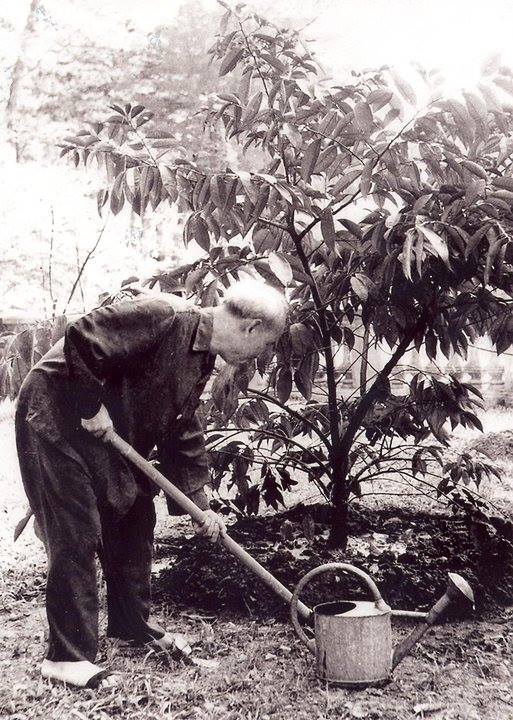 DI CHÚC CỦA CHỦ TỊCH HỒ CHÍ MINH DI CHÚC CỦA CHỦ TỊCH HỒ CHÍ MINH