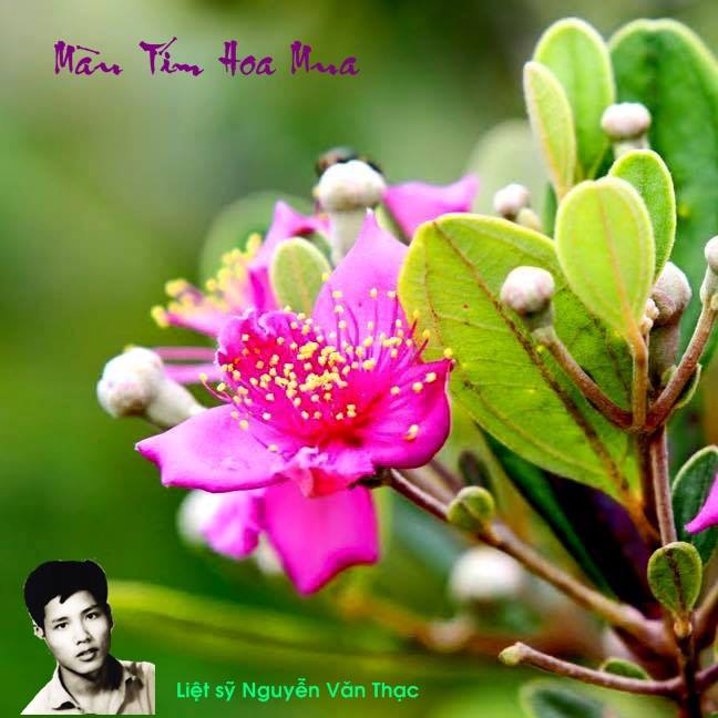 HÁT CHO ĐỒNG ĐỘI TÔI NGHE HÁT CHO ĐỒNG ĐỘI TÔI NGHE