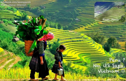 CHỜ THU CHỜ THU