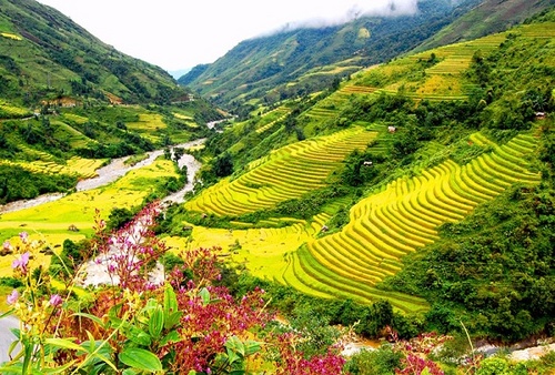 XIN CHỚ LỤI TÀN