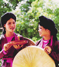 NƠI ANH VỀ