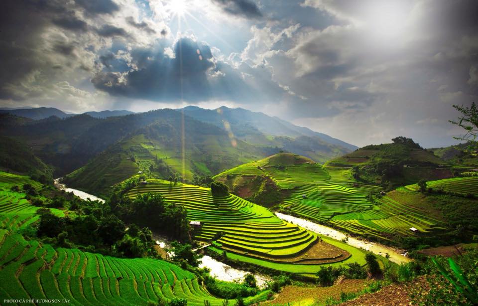 GIỮA RỪNG GIÀ ... GIỮA RỪNG GIÀ ...