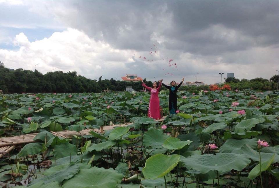 MỘT THOÁNG HỒ TÂY