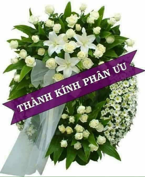 TIN BUỒN TIN BUỒN