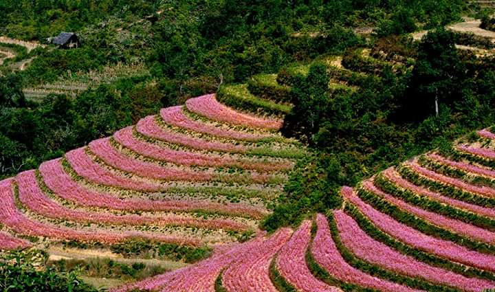 NHIỀU CHƯƠNG TRÌNH KÍCH CẦU DU LỊCH HẤP DẪN NHIỀU CHƯƠNG TRÌNH KÍCH CẦU DU LỊCH HẤP DẪN