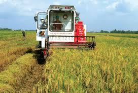 QUY MÔ KINH TẾ VIỆT NAM VƯỢT 1 NGHÌN TỶ USD THEO SỨC MUA TƯƠNG ĐƯƠNG QUY MÔ KINH TẾ VIỆT NAM VƯỢT 1 NGHÌN TỶ USD THEO SỨC MUA TƯƠNG ĐƯƠNG