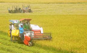 KINH TẾ TUẦN HOÀN - CHÌA KHÓA VÀNG ĐƯA NỀN KINH TẾ TOÀN CẦU VƯỚT QUA ĐẠI DỊCH KINH TẾ TUẦN HOÀN - CHÌA KHÓA VÀNG ĐƯA NỀN KINH TẾ TOÀN CẦU VƯỚT QUA ĐẠI DỊCH